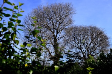 CAMPAGNA fotografie di Giulio Azzarello ©2020.