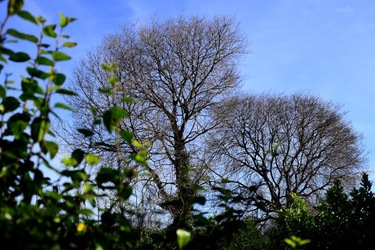 CAMPAGNA fotografie di Giulio Azzarello ©2020.