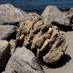 BARCHE. Fotografie di Giulio Azzarello &copy;2022.