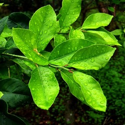 AUTUNNO fotografie di Giulio Azzarello ©2021. AUTUNNO fotografie di Giulio Azzarello ©2021.