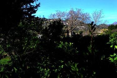 CAMPAGNA fotografie di Giulio Azzarello ©2020.