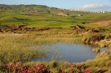 PAESAGGIO SICILIANO nel luogo delle macalube in Sicilia. Fotografie di Giulio Azzarello &copy;2014.