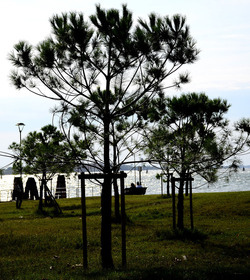 GIARDINI della BIENNALE a Venezia. Foto di Giulio Azzarello &copy;2015 2016.