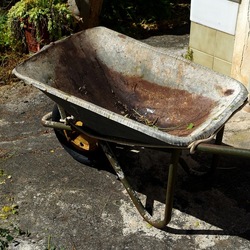 GIARDINO SICILIANO. Fotografie di Giulio Azzarello &copy;2024.