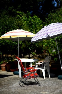 STILL LIFE ASSURDI fotografie di Giulio Azzarello &copy;2020.