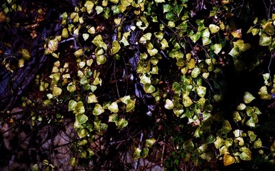 PALERMO fotografie di Giulio Azzarello ©2020.