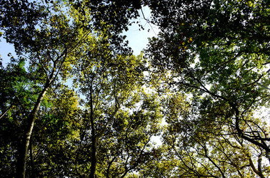 GIARDINI della BIENNALE a Venezia. Foto di Giulio Azzarello &copy;2015 2016.