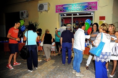 NEGOZIO di ANIMALI. Fotografie di Giulio Azzarello ©2018. NEGOZIO di ANIMALI. Fotografie di Giulio Azzarello ©2018.