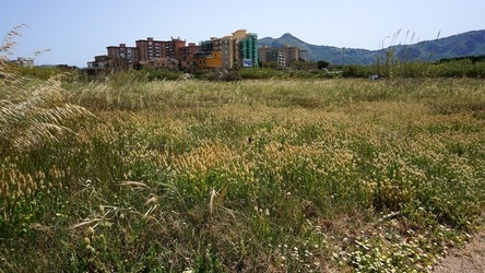 BARCHE. Fotografie di Giulio Azzarello ©2022.