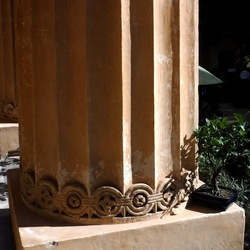 ORTO BOTANICO di PALERMO. Fotografie di Giulio Azzarello ©2019.