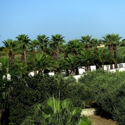 SELINUNTE. Fotografie di Giulio Azzarello ©2022. SELINUNTE. Fotografie di Giulio Azzarello ©2022.