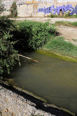 LA BONIFICA delle coste a Palermo una azione simbolica di Lega Ambiente Sicilia. Fotografie di Giulio Azzarello &copy;2014.