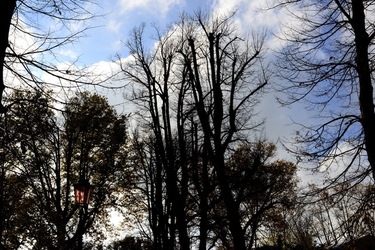 VENEZIA Giardini della Biennale di Arch. Cont.. Fotografie di Giulio Azzarello ©2022.