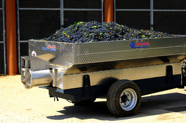 AZIENDA VITIVINICOLA in Sicilia. Fotografie di Giulio Azzarello ©2016. AZIENDA VITIVINICOLA in Sicilia. Fotografie di Giulio Azzarello ©2016.