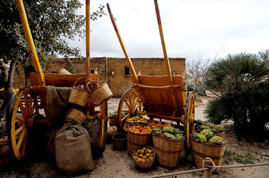 IL PRESEPE VIVENTE DI CUSTONACI in Sicilia. Fotografie di Giulio Azzarello ©2014. IL PRESEPE VIVENTE DI CUSTONACI in Sicilia. Fotografie di Giulio Azzarello ©2014.