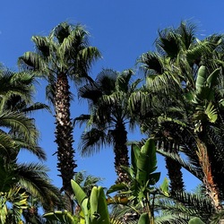 SELINUNTE. Fotografie di Giulio Azzarello ©2022. SELINUNTE. Fotografie di Giulio Azzarello ©2022.