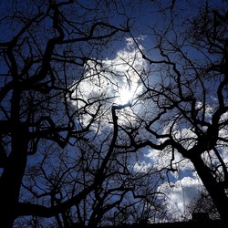 ORTO BOTANICO DI PALERMO. Fotografie di Giulio Azzarello ©2022. ORTO BOTANICO DI PALERMO. Fotografie di Giulio Azzarello ©2022.