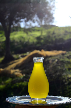 ULIVETO in autunno. Fotografie di Giulio Azzarello ©2014. ULIVETO in autunno. Fotografie di Giulio Azzarello ©2014.