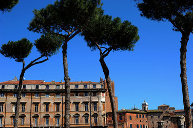 ROMA. Fotografie di Giulio Azzarello ©2014. ROMA. Fotografie di Giulio Azzarello ©2014.