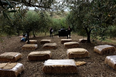 ULIVETO SICILIANO. Fotografie di Giulio Azzarello ©2022.