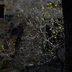 Arabo Normanno. Fotografie di Giulio Azzarello ©2024. Arabo Normanno. Fotografie di Giulio Azzarello ©2024.