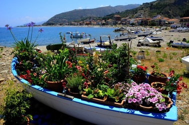 BARCHE da PESCA fotografie di Giulio Azzarello © 2019. BARCHE da PESCA fotografie di Giulio Azzarello © 2019.