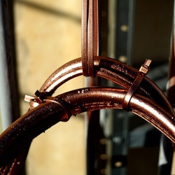 NATURE MORTE. Fotografie di Giulio Azzarello ©2024. NATURE MORTE. Fotografie di Giulio Azzarello ©2024.