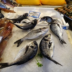 PALERMO. Fotografie di Giulio Azzarello &copy;2023.