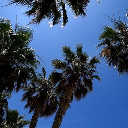 SAN VITO LO CAPO. Fotografie di Giulio Azzarello &copy;2023.