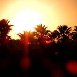 SELINUNTE. Fotografie di Giulio Azzarello ©2022. SELINUNTE. Fotografie di Giulio Azzarello ©2022.