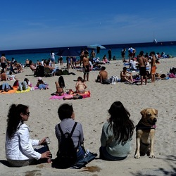 MONDELLO. Fotografie di Giulio Azzarello &copy;2024.