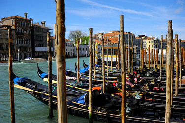 LUNGOMARE di VENEZIA. Fotografie di Giulio Azzarello &copy;2016.