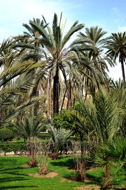 VILLA BONANNO a Palermo. Fotografie di Giulio Azzarello &copy;2016.
