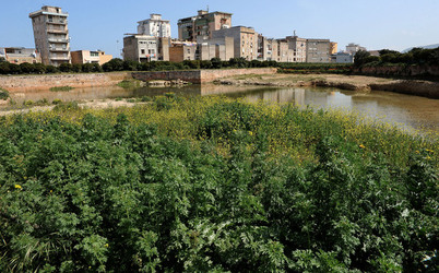 PALERMO il suo centro storico le periferie i monumenti. Fotografie di Giulio Azzarello ©2014.