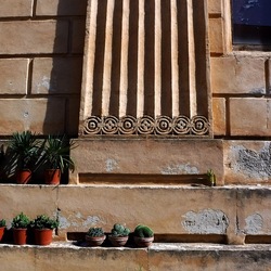 ORTO BOTANICO di PALERMO. Fotografie di Giulio Azzarello ©2019.
