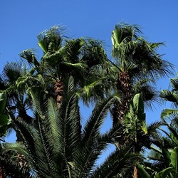 SELINUNTE. Fotografie di Giulio Azzarello ©2022. SELINUNTE. Fotografie di Giulio Azzarello ©2022.