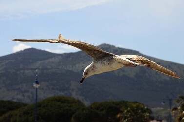 MONDELLO in Sicilia a Palermo. Fotografie di Giulio Azzarello ©2014.