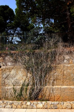 MONDELLO. Fotografie di Giulio Azzarello &copy;2023.
