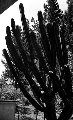 BIANCO NERO. Fotografie di Giulio Azzarello ©2021. BIANCO NERO. Fotografie di Giulio Azzarello ©2021.