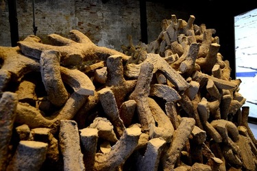 VENEZIA Padiglione Emirati Arabi Arsenale. Biennale Arch. Cont. Fotografie di Giulio Azzarello &copy;2022.
