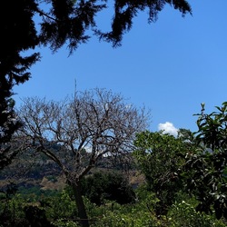 GIARDINO SICILIANO. Fotografie di Giulio Azzarello ©2022. GIARDINO SICILIANO. Fotografie di Giulio Azzarello ©2022.