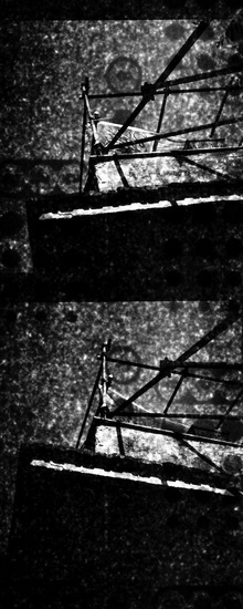ROSE fotografie di Giulio Azzarello ©2021. ROSE fotografie di Giulio Azzarello ©2021.