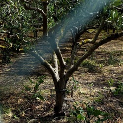 CAMMINANDO. Fotografie di Giulio Azzarello &copy;2024.