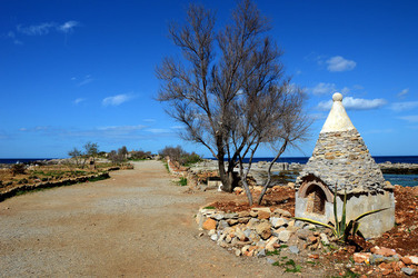 CAPO GALLO riserva marina e naturalistica a Palermo panoramiche e particolari. Fotografie di Giulio Azzarello ©2014. CAPO GALLO riserva marina e naturalistica a Palermo panoramiche e particolari. Fotografie di Giulio Azzarello ©2014.