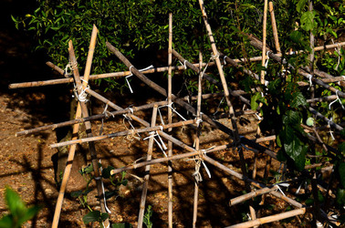 NUVOLE E NATURA fotografie di Giulio Azzarello &copy;2014.