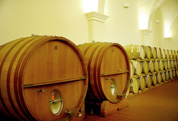 BOTTI per il vino. Fotografie di Giulio Azzarello ©2016. BOTTI per il vino. Fotografie di Giulio Azzarello ©2016.