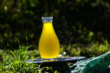 ULIVETO in autunno. Fotografie di Giulio Azzarello ©2014. ULIVETO in autunno. Fotografie di Giulio Azzarello ©2014.