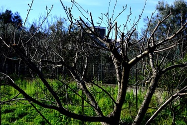 CAMPAGNA fotografie di Giulio Azzarello ©2020.