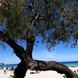 MONDELLO. Fotografie di Giulio Azzarello &copy;2024.