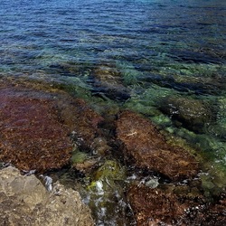 BAIA DEL CORALLO. Fotografie di Giulio Azzarello &copy;2022.